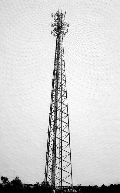 cell5