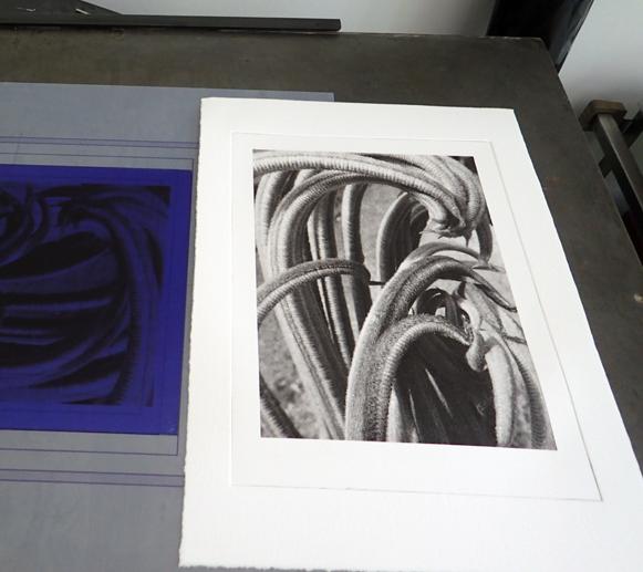 skylightprint