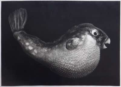 9x12" photo etching, aquatint, scrape and burnish