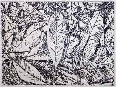 Sharpie on inkjet film photo etching, deep etch