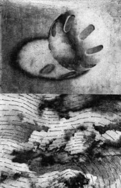 6" x 9" photo etching and engraving on zinc with scrape and burnish<br/>